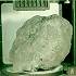 Breccia 14321